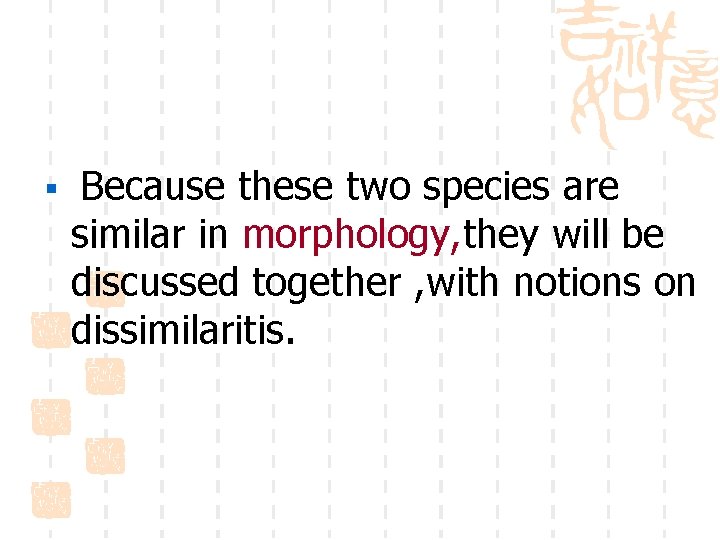 § Because these two species are similar in morphology, they will be discussed together
