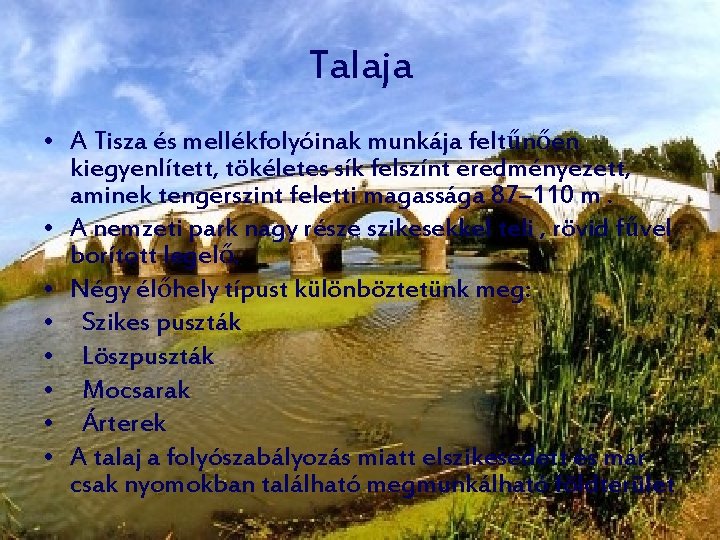 Talaja • A Tisza és mellékfolyóinak munkája feltűnően kiegyenlített, tökéletes sík felszínt eredményezett, aminek