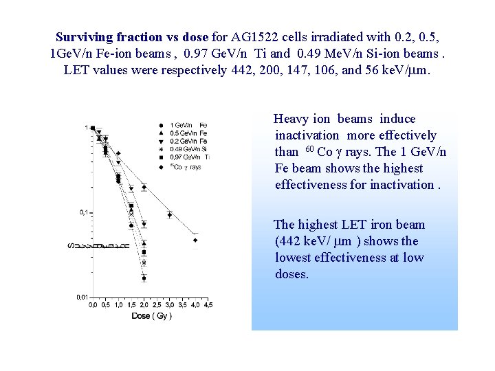 Surviving fraction vs dose for AG 1522 cells irradiated with 0. 2, 0. 5,