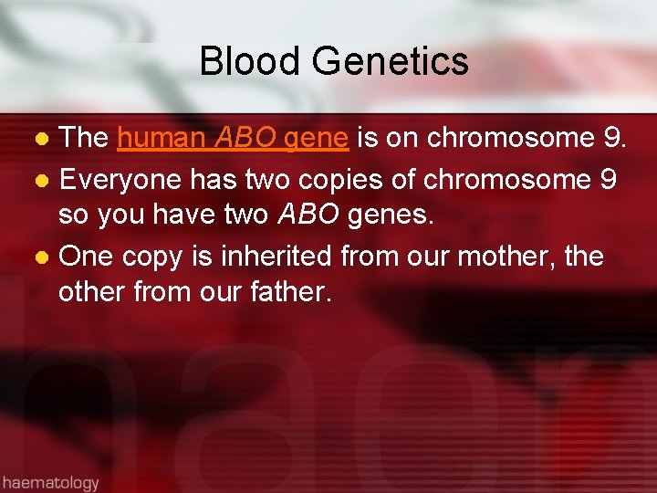 Blood Genetics The human ABO gene is on chromosome 9. l Everyone has two