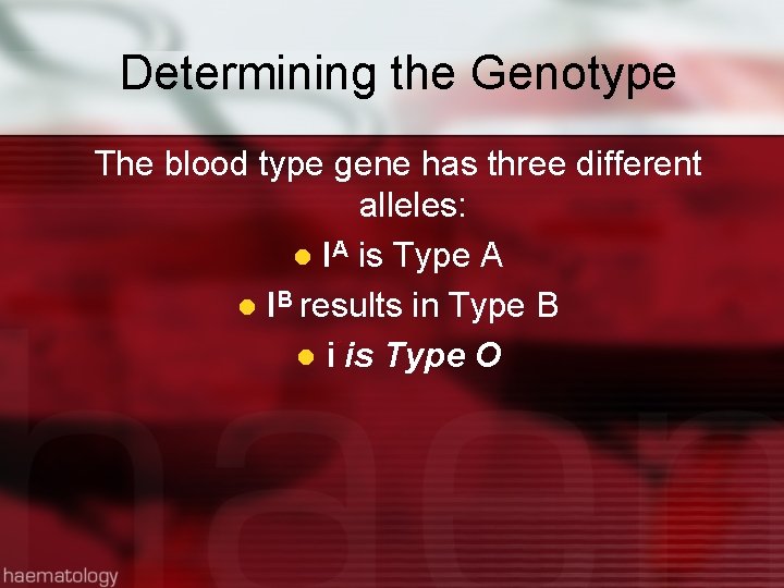 Determining the Genotype The blood type gene has three different alleles: l IA is