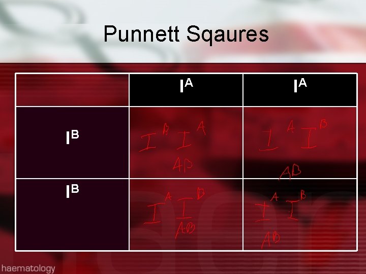 Punnett Sqaures IA IB IB IA 