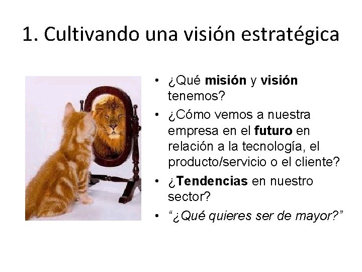 1. Cultivando una visión estratégica • ¿Qué misión y visión tenemos? • ¿Cómo vemos