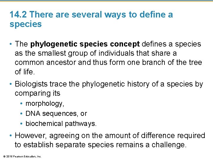 14. 2 There are several ways to define a species • The phylogenetic species
