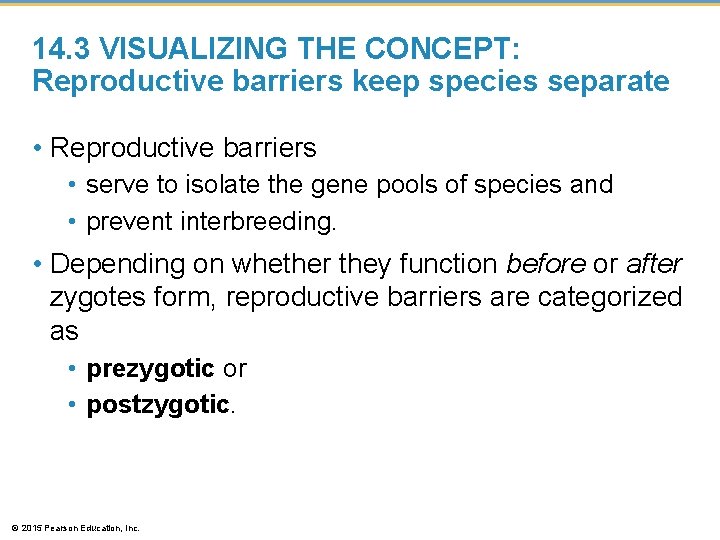 14. 3 VISUALIZING THE CONCEPT: Reproductive barriers keep species separate • Reproductive barriers •