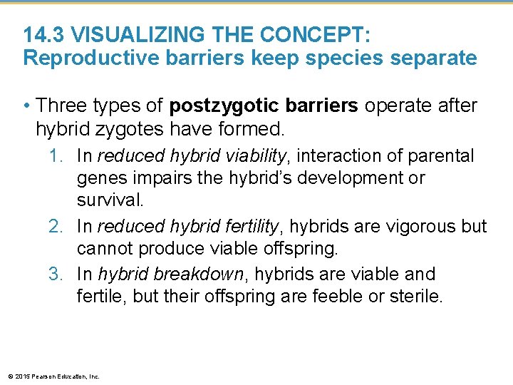 14. 3 VISUALIZING THE CONCEPT: Reproductive barriers keep species separate • Three types of