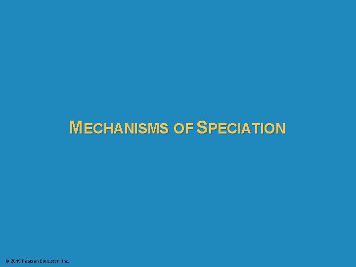 MECHANISMS OF SPECIATION © 2015 Pearson Education, Inc. 