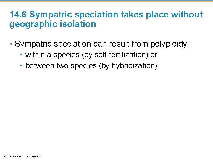 14. 6 Sympatric speciation takes place without geographic isolation • Sympatric speciation can result