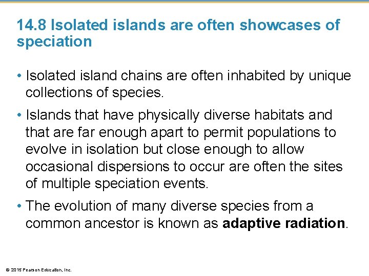 14. 8 Isolated islands are often showcases of speciation • Isolated island chains are