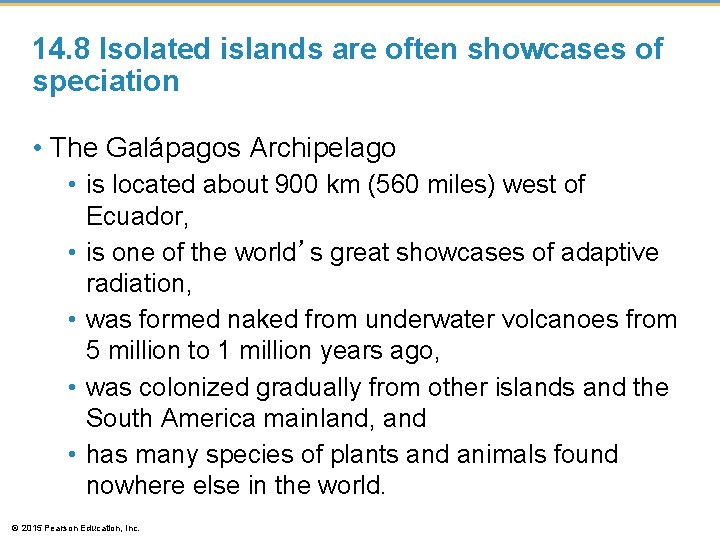 14. 8 Isolated islands are often showcases of speciation • The Galápagos Archipelago •