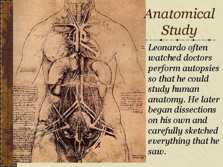 Anatomical Study Leonardo often watched doctors perform autopsies so that he could study human