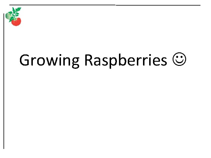 Growing Raspberries 