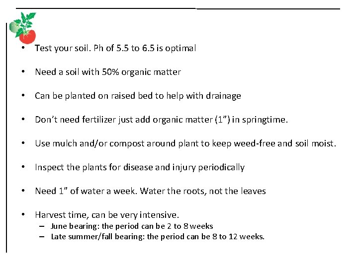  • Test your soil. Ph of 5. 5 to 6. 5 is optimal