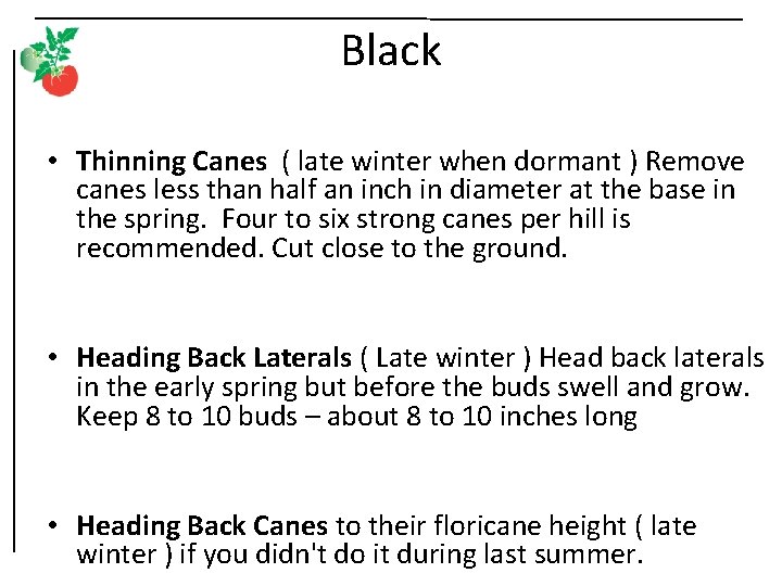 Black • Thinning Canes ( late winter when dormant ) Remove canes less than