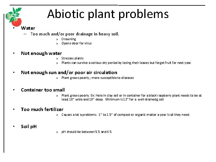 Abiotic plant problems • Water – Too much and/or poor drainage in heavy soil.