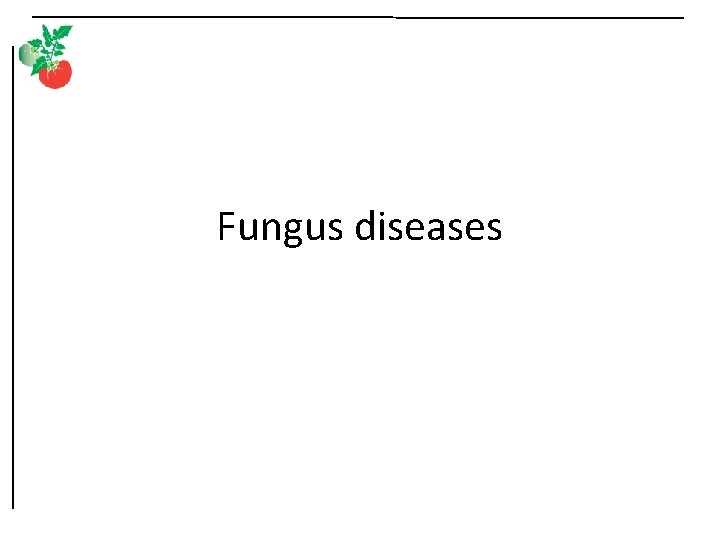 Fungus diseases 