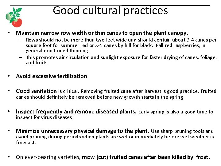 Good cultural practices • Maintain narrow width or thin canes to open the plant