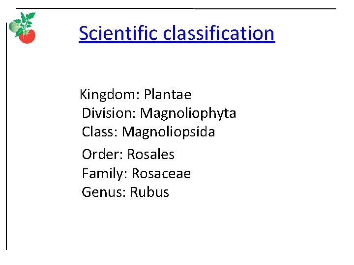 Scientific classification Kingdom: Plantae Division: Magnoliophyta Class: Magnoliopsida Order: Rosales Family: Rosaceae Genus: Rubus