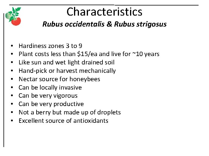 Characteristics Rubus occidentalis & Rubus strigosus • • • Hardiness zones 3 to 9