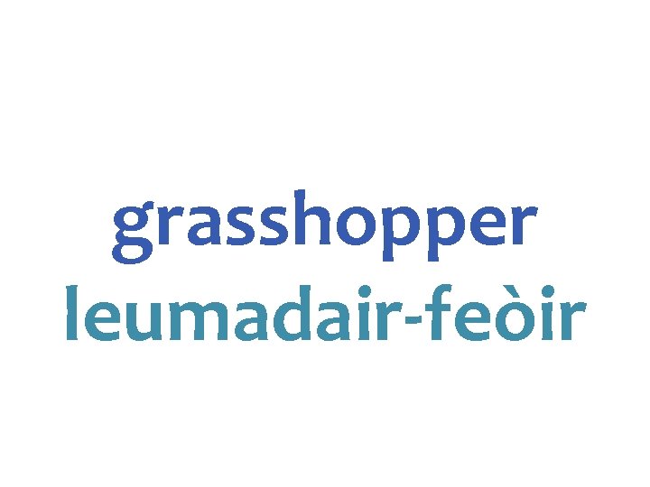grasshopper leumadair-feòir 