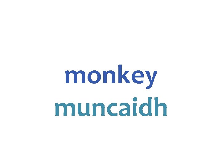 monkey muncaidh 