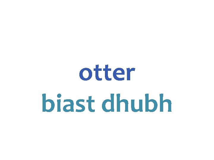 otter biast dhubh 