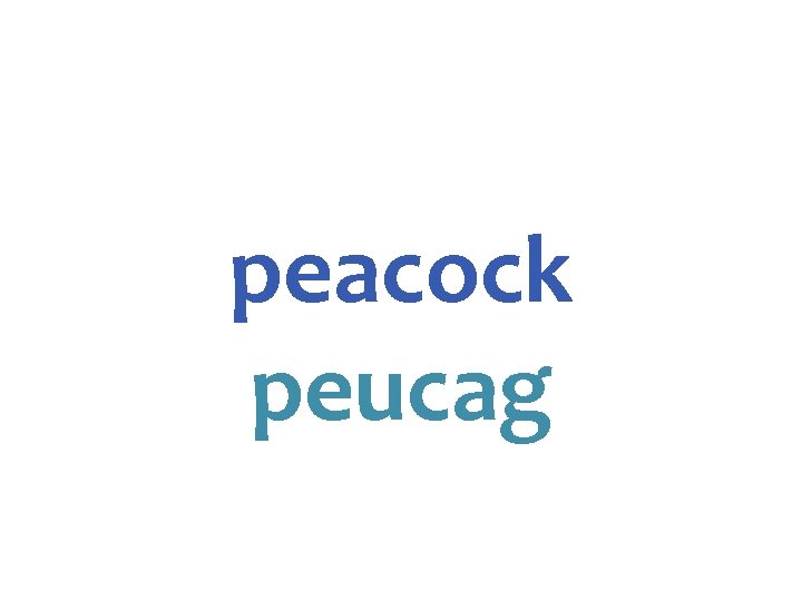 peacock peucag 