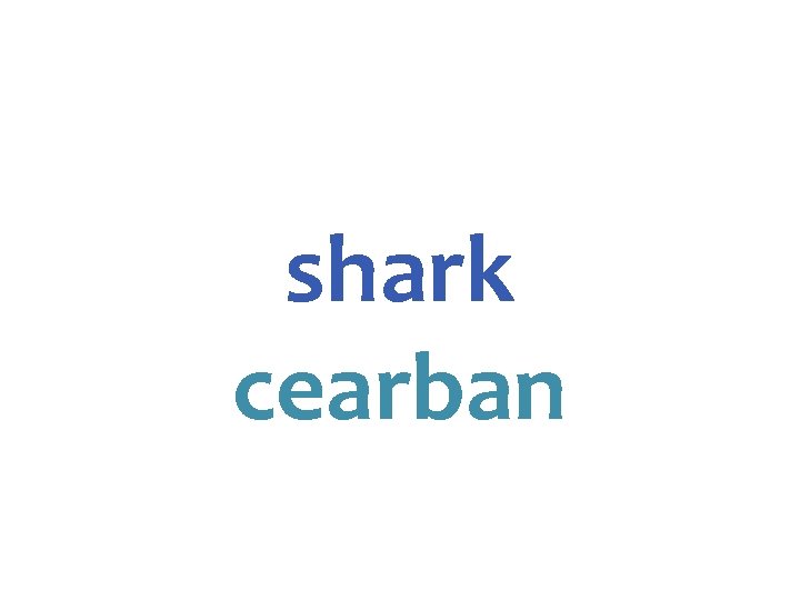 shark cearban 