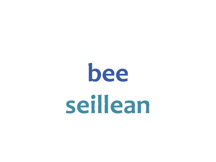 bee seillean 