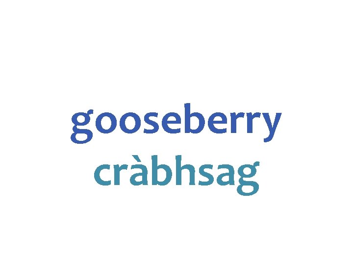 gooseberry cràbhsag 