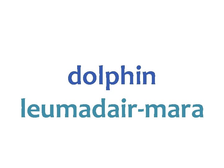 dolphin leumadair-mara 