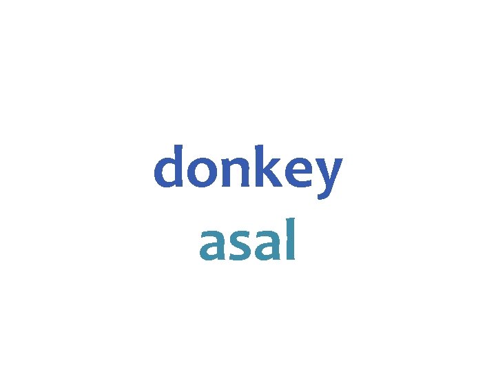 donkey asal 