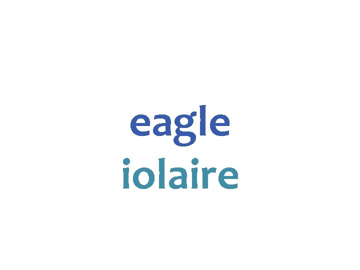 eagle iolaire 