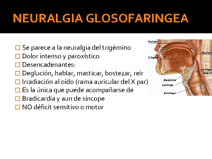 NEURALGIA GLOSOFARINGEA � Se parece a la neuralgia del trigémino � Dolor intenso y