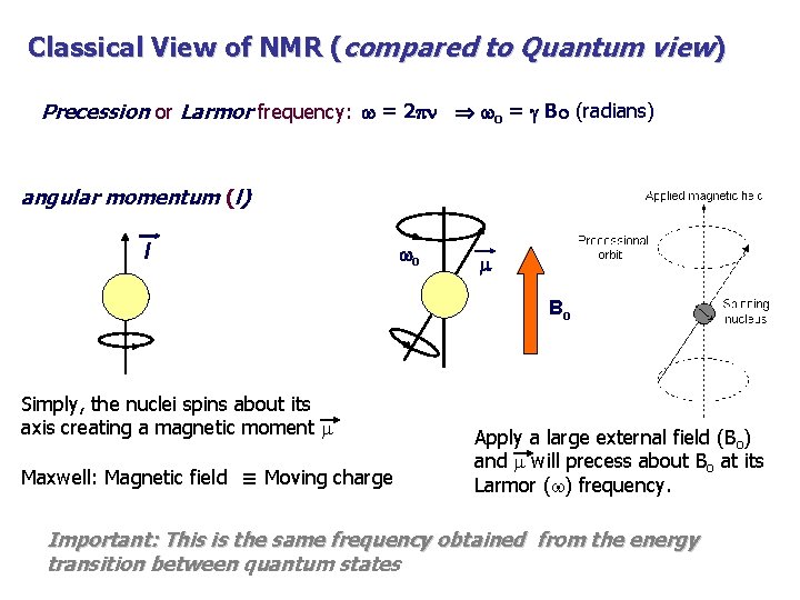 Classical View of NMR (compared to Quantum view) Precession or Larmor frequency: w =