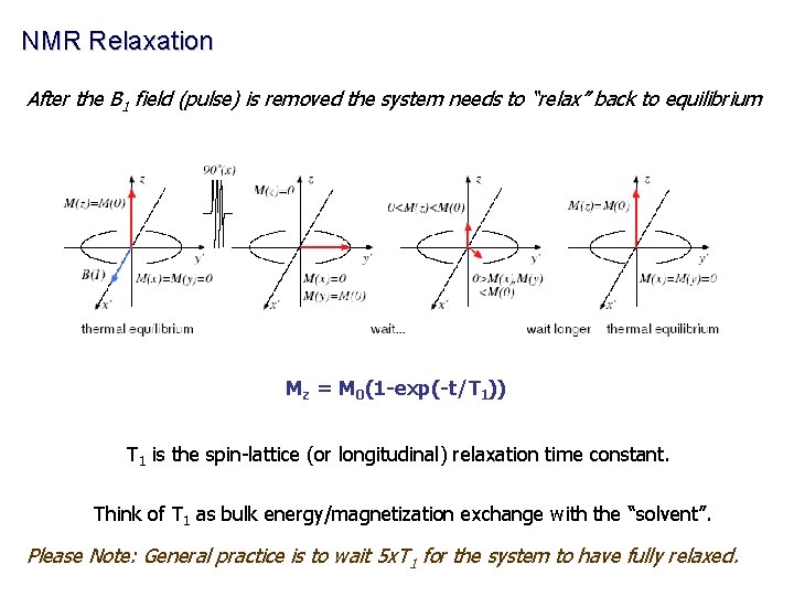 NMR Relaxation After the B 1 field (pulse) is removed the system needs to