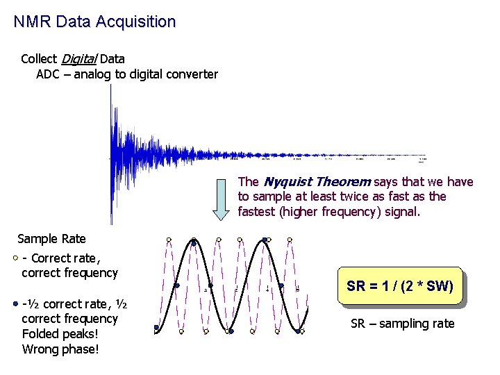 NMR Data Acquisition Collect Digital Data ADC – analog to digital converter The Nyquist