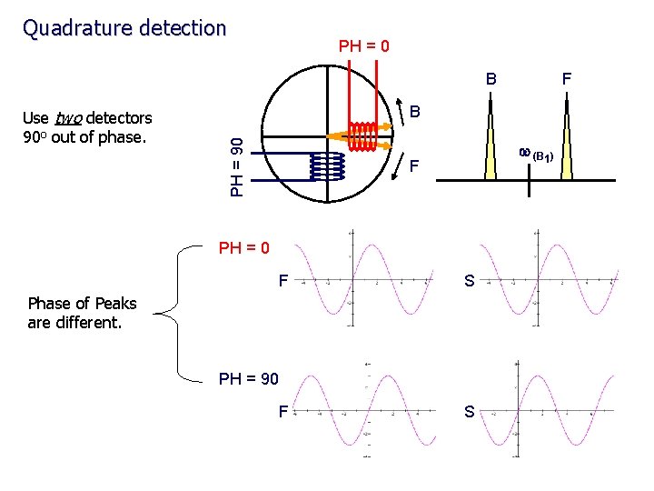 Quadrature detection PH = 0 B B PH = 90 Use two detectors 90