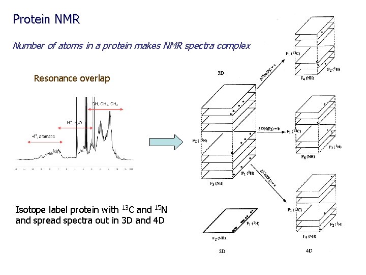 Protein NMR Number of atoms in a protein makes NMR spectra complex Resonance overlap