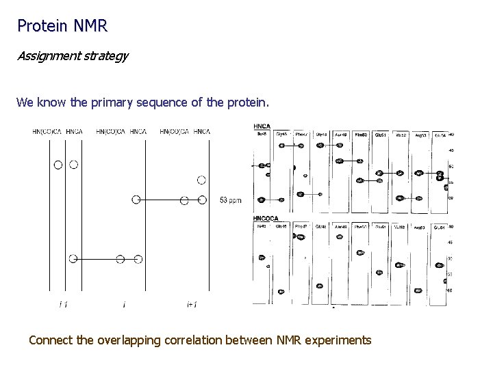 Protein NMR Assignment strategy We know the primary sequence of the protein. Connect the