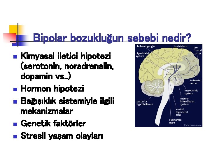 Bipolar bozukluğun sebebi nedir? n n n Kimyasal iletici hipotezi (serotonin, noradrenalin, dopamin vs.