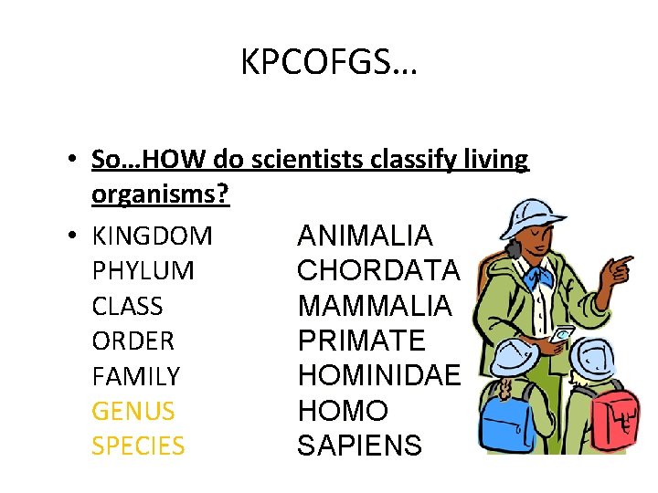 KPCOFGS… • So…HOW do scientists classify living organisms? • KINGDOM ANIMALIA PHYLUM CHORDATA CLASS