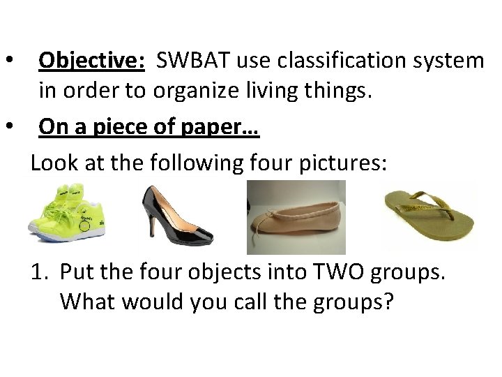  • Objective: SWBAT use classification system in order to organize living things. •