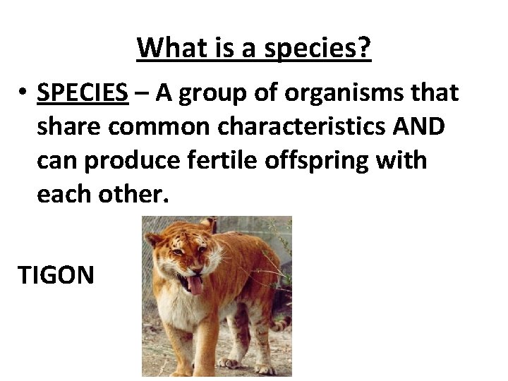 What is a species? • SPECIES – A group of organisms that share common