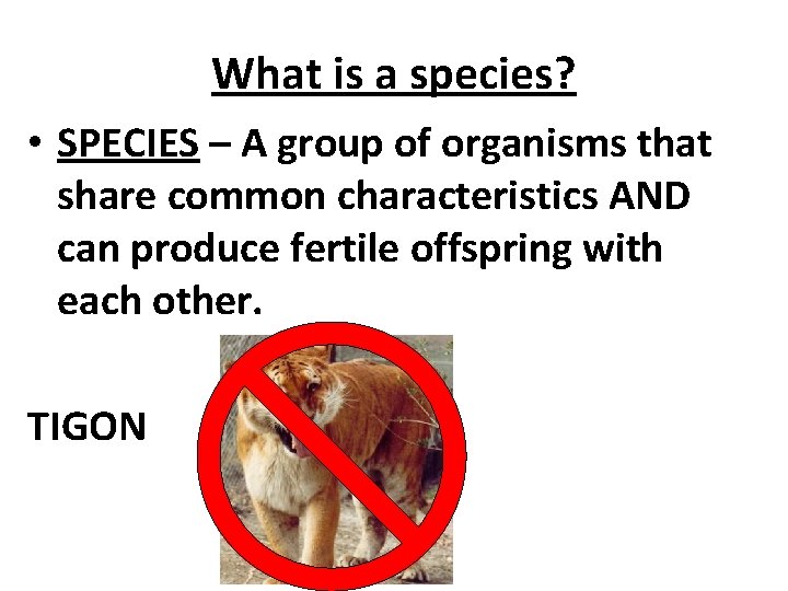 What is a species? • SPECIES – A group of organisms that share common