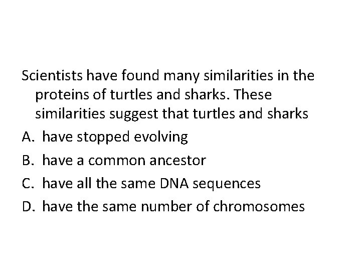 Scientists have found many similarities in the proteins of turtles and sharks. These similarities