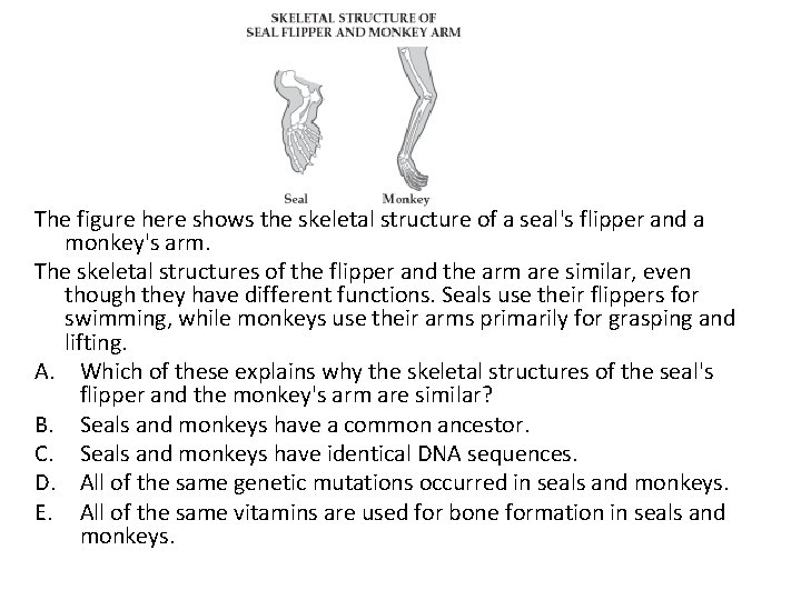 The figure here shows the skeletal structure of a seal's flipper and a monkey's