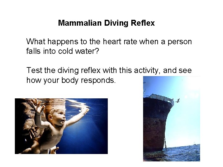 Mammalian Diving Reflex What happens to the heart rate when a person falls into