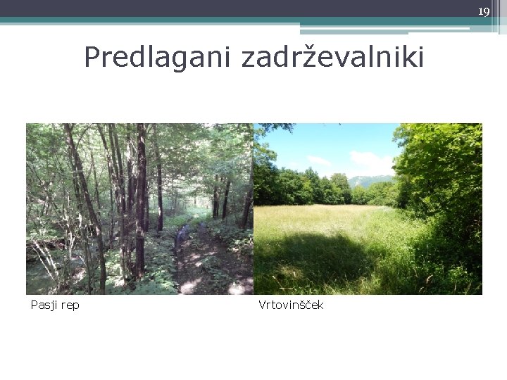 19 Predlagani zadrževalniki Pasji rep Vrtovinšček 