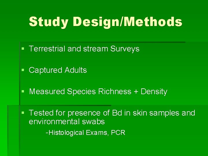 Study Design/Methods § Terrestrial and stream Surveys § Captured Adults § Measured Species Richness